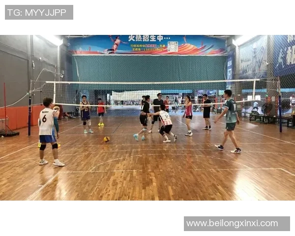 深圳排球队的比赛经验揭秘：从训练到赛场的全方位探索与分享