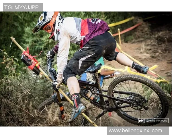 北京足球队耐力表现数据分析揭示球队竞技状态与训练效果的深度关系