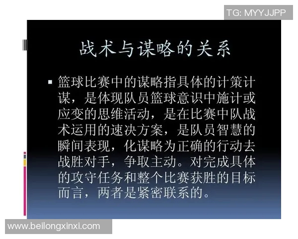 南京篮球队个人能力剖析：明星球员的技术特点与战术价值探讨