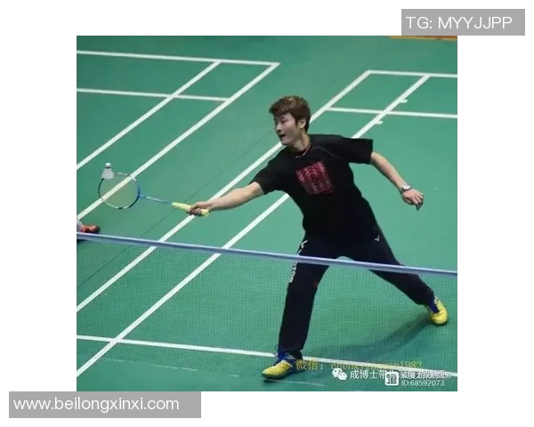 西安羽毛球队实力深度解析与对比分析报告