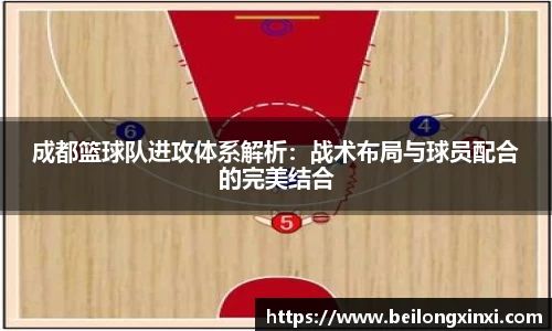 熊猫体育