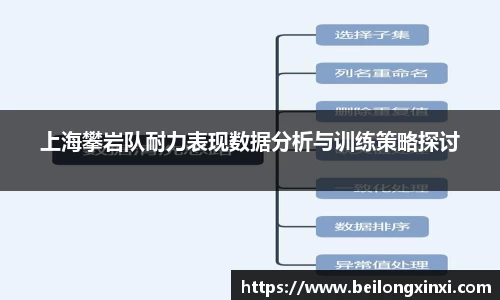 上海攀岩队耐力表现数据分析与训练策略探讨